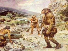 paleolithic age